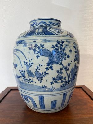Grand pot en porcelaine de Chine en bleu et blanc à décor d'un faisan, Ming — photo 4