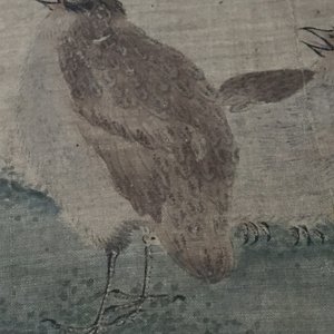 Grande peinture sur rouleau, encadrée, à décor d'oiseau et de fleurs, Chine, 18e — photo 7