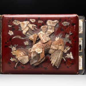 (Graphic content!) A photo album with sights of China and post-war scenes, 20th C. — photo 1