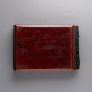 (Graphic content!) A photo album with views of China and Southeast Asia, incl. French military presence, wartime scenes and executions, 20th C. — photo 69