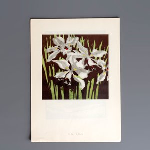 'Gravures sur Bois de la Chine Nouvelle': 40 woodcuts, dated 1956, and 'Baishi Lao Ren Hua Ce': 7 woodblock prints after Qi Baishi, Rong Bao Zhai 荣宝斋 studio, 20th C. — 照片 17