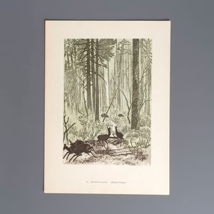 'Gravures sur Bois de la Chine Nouvelle': 40 woodcuts, dated 1956, and 'Baishi Lao Ren Hua Ce': 7 woodblock prints after Qi Baishi, Rong Bao Zhai 荣宝斋 studio, 20th C. — 照片 35