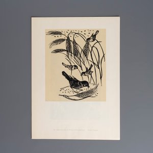 'Gravures sur Bois de la Chine Nouvelle': 40 woodcuts, dated 1956, and 'Baishi Lao Ren Hua Ce': 7 woodblock prints after Qi Baishi, Rong Bao Zhai 荣宝斋 studio, 20th C. — 照片 36