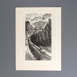 'Gravures sur Bois de la Chine Nouvelle': 40 woodcuts, dated 1956, and 'Baishi Lao Ren Hua Ce': 7 woodblock prints after Qi Baishi, Rong Bao Zhai 荣宝斋 studio, 20th C. — 照片 37