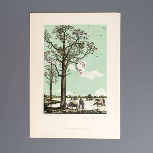 'Gravures sur Bois de la Chine Nouvelle': 40 woodcuts, dated 1956, and 'Baishi Lao Ren Hua Ce': 7 woodblock prints after Qi Baishi, Rong Bao Zhai 荣宝斋 studio, 20th C. — 照片 39