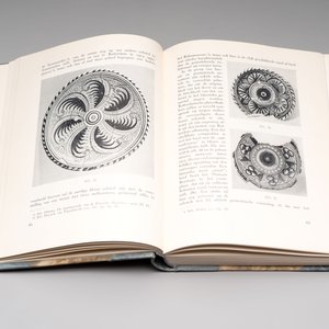 Henry Havard, 'Histoire de la Faïence de Delft', 1878, and Dr. C.H. De Jonge, 'Oud-Nederlandsche Majolica en Delftsch aardewerk', 1947 — foto 5