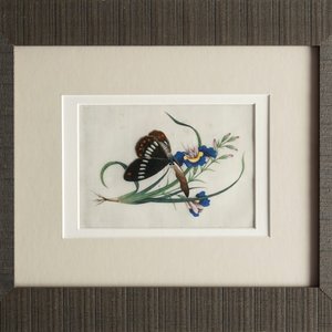 Huit peintures sur papier de riz figurant fleurs et papillons, Canton, Chine, 19ème — photo 2