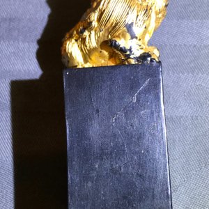 Huit pierres d'encre en forme de sceaux dans un coffre de présentation, 18/19ème — photo 12