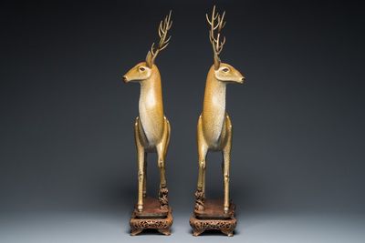Importante paire de daims en émaux cloisonnés sur socles en bois ajouré, Chine, 19ème — photo 4