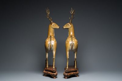 Importante paire de daims en émaux cloisonnés sur socles en bois ajouré, Chine, 19ème — photo 5