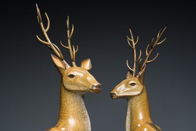 Importante paire de daims en émaux cloisonnés sur socles en bois ajouré, Chine, 19ème — photo 6