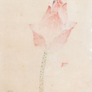 In the manner of Jiang Tingxi 蔣廷錫 (1669 - 1732): 'Mandarin ducks and lotus', ink and colour on silk, 19/20th C. — 照片 4