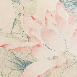 In the manner of Jiang Tingxi 蔣廷錫 (1669 - 1732): 'Mandarin ducks and lotus', ink and colour on silk, 19/20th C. — 照片 5