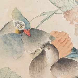 In the manner of Jiang Tingxi 蔣廷錫 (1669 - 1732): 'Mandarin ducks and lotus', ink and colour on silk, 19/20th C. — 照片 6