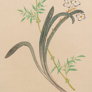 In the manner of Zhang Daqian 張大千 (1898-1983): 'Bamboo and Narcissus', ink and colour on paper — photo 3