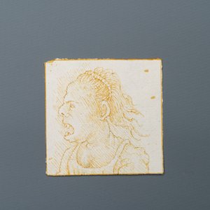Italiaanse school, naar Leonardo da Vinci, pen en bruine inkt op papier, eind 19e eeuw: Tien karikaturen — foto 12