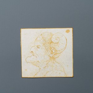 Italiaanse school, naar Leonardo da Vinci, pen en bruine inkt op papier, eind 19e eeuw: Tien karikaturen — foto 14