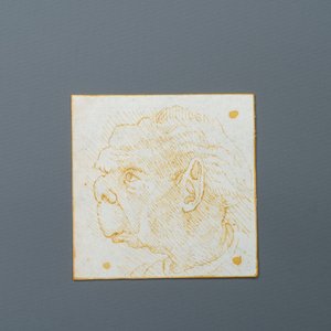 Italiaanse school, naar Leonardo da Vinci, pen en bruine inkt op papier, eind 19e eeuw: Tien karikaturen — foto 16