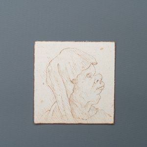 Italiaanse school, naar Leonardo da Vinci, pen en bruine inkt op papier, eind 19e eeuw: Tien karikaturen — foto 8