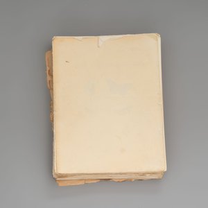J. Hübner & C. Geyer: 'Lépidoptères Exotiques (1806-1837) - Nouvelle Édition', early 20th C. — 照片 12
