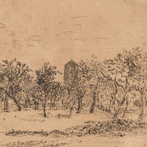 James Ensor (1860-1949): 'The Orchard', etching — 照片 5