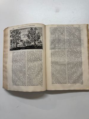 Johannes Nieuhof (1618-1672): 'Het Gezantschap der Neêrlandtsche Oost-Indische Compagnie' — photo 21