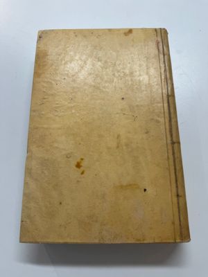 Johannes Nieuhof (1618-1672): 'Het Gezantschap der Neêrlandtsche Oost-Indische Compagnie' — photo 28