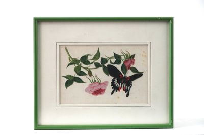 Lot de 3 peintures chinoises sur papier de riz, Canton, 18e-19e