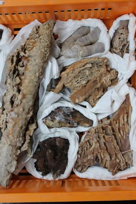Lot de divers minéraux et pierres sémi-précieuses
