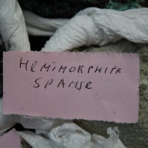Lot de divers minéraux et pierres sémi-précieuses — photo 3