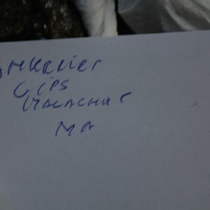 Lot de divers minéraux et pierres sémi-précieuses — photo 4