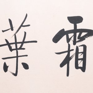Lou Shibai 婁師白 (1918-2010): 'Dragonfly and flowers' and Qi Gong 啟功 (1912-2005): 'Calligraphy', ink and colour on paper — 照片 10