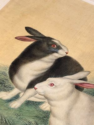 Ma Jin 馬晉 (1900-1970): 'Sheep, Donkeys, Rabbits and a Polar bear', ink and colour on silk — foto 27