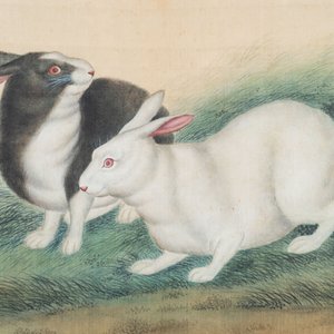 Ma Jin 馬晉 (1900-1970): 'Sheep, Donkeys, Rabbits and a Polar bear', ink and colour on silk — foto 3