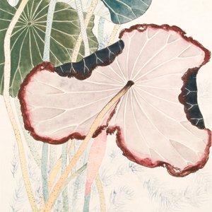Mi Gengyun 糜耕耘 (1910-1998): 'Lotus', ink and colour on paper, dated 1977 — photo 4