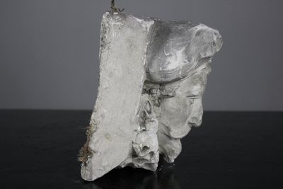 Moulage en plâtre d'une tête de gentilhomme, atelier De Wispelaere, Bruges, 1e moitié 20e