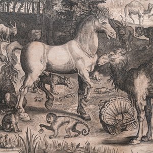 Nicolaes de Bruyn (1571-1656, d'après): 'Adam et Eve trompés par le serpent', gravure sur papier, ca. 1652 — photo 4