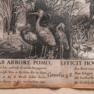 Nicolaes de Bruyn (1571-1656, d'après): 'Adam et Eve trompés par le serpent', gravure sur papier, ca. 1652 — photo 5