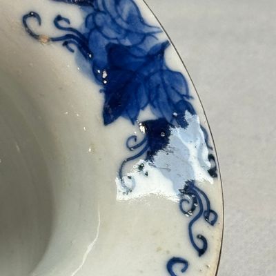 Nine Chinese blue and white wares for the Southeast Asian market, including Bleu de Hue — photo 81