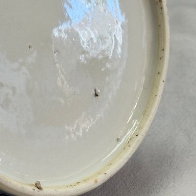 Nine Chinese blue and white wares for the Southeast Asian market, including Bleu de Hue — photo 97