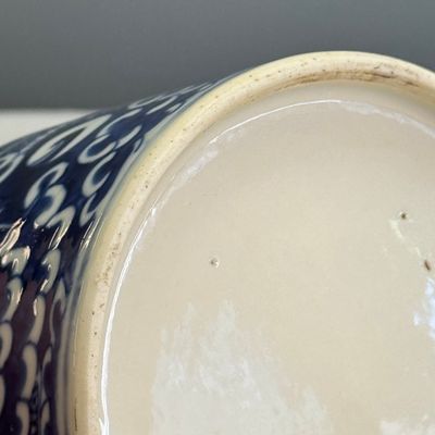 Nine Chinese blue and white wares for the Southeast Asian market, including Bleu de Hue — photo 99