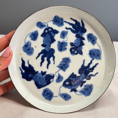 Nine Chinese blue and white wares for the Southeast Asian market, including Bleu de Hue — photo 24
