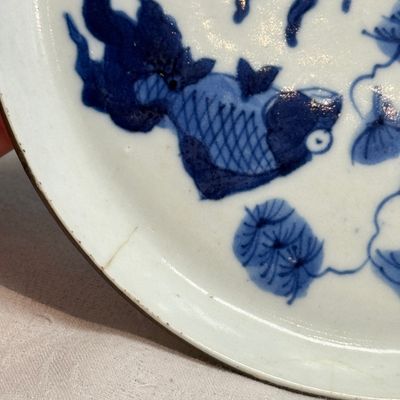 Nine Chinese blue and white wares for the Southeast Asian market, including Bleu de Hue — photo 25