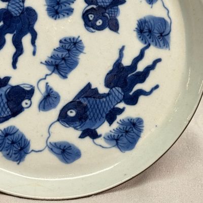 Nine Chinese blue and white wares for the Southeast Asian market, including Bleu de Hue — photo 28