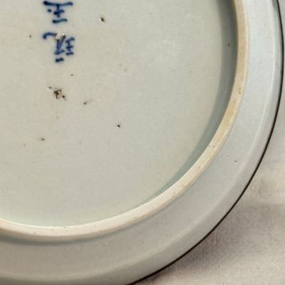 Nine Chinese blue and white wares for the Southeast Asian market, including Bleu de Hue — photo 35