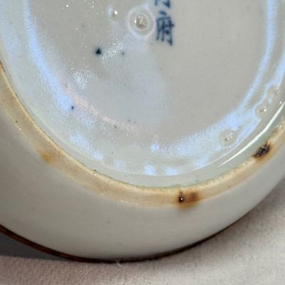 Nine Chinese blue and white wares for the Southeast Asian market, including Bleu de Hue — photo 45