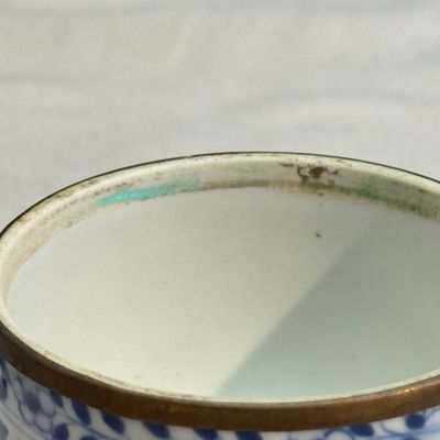 Nine Chinese blue and white wares for the Southeast Asian market, including Bleu de Hue — photo 73