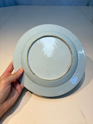Nine Chinese famille rose plates with floral design, Qianlong — photo 16