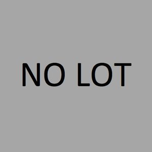NO LOT — photo 1