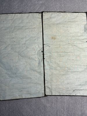 Paire de badges de rang en broderie de soie au fil d'or figurant des oies sauvages, 19ème — photo 12